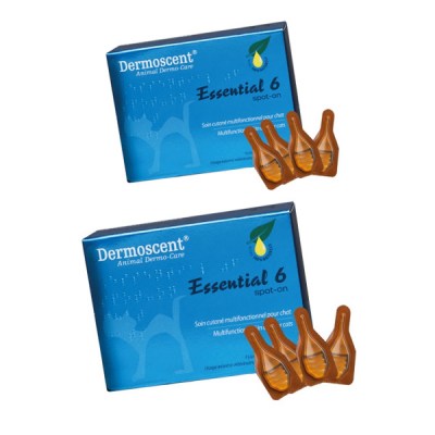 dermoscent-essentials-6-cats